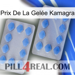 Prix De La Gelée Kamagra 20